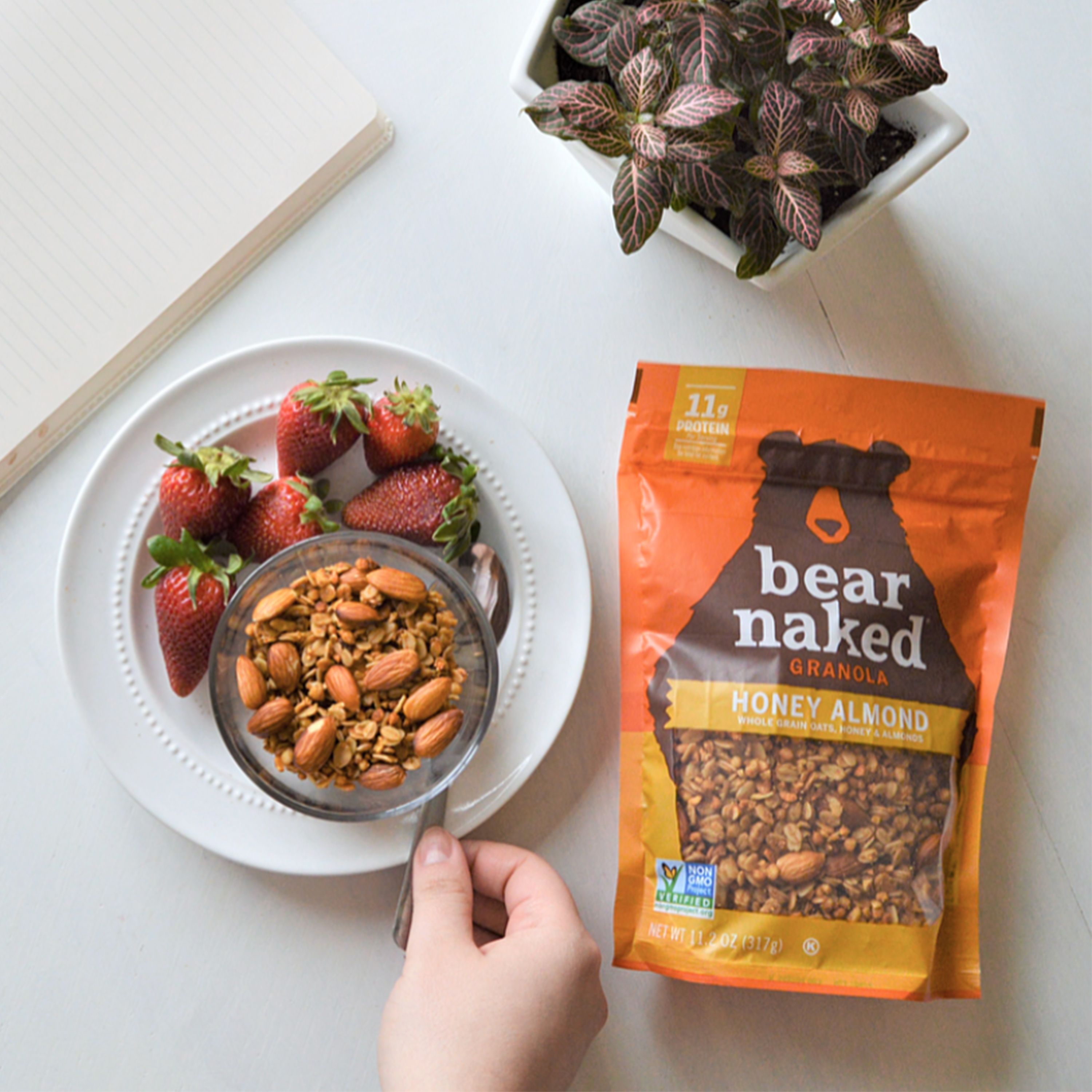 Bear Naked® Granola Protein Honey Almond